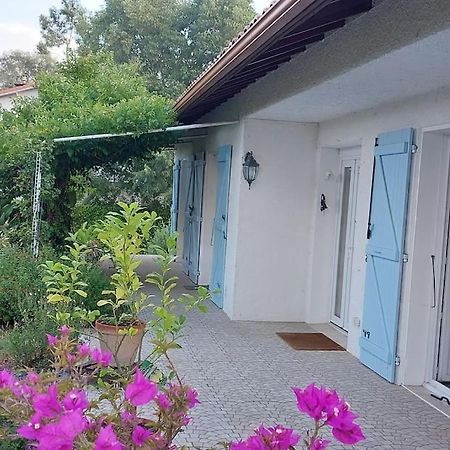 Villa De Charme Avec Piscine Saint-Jory Exterior photo